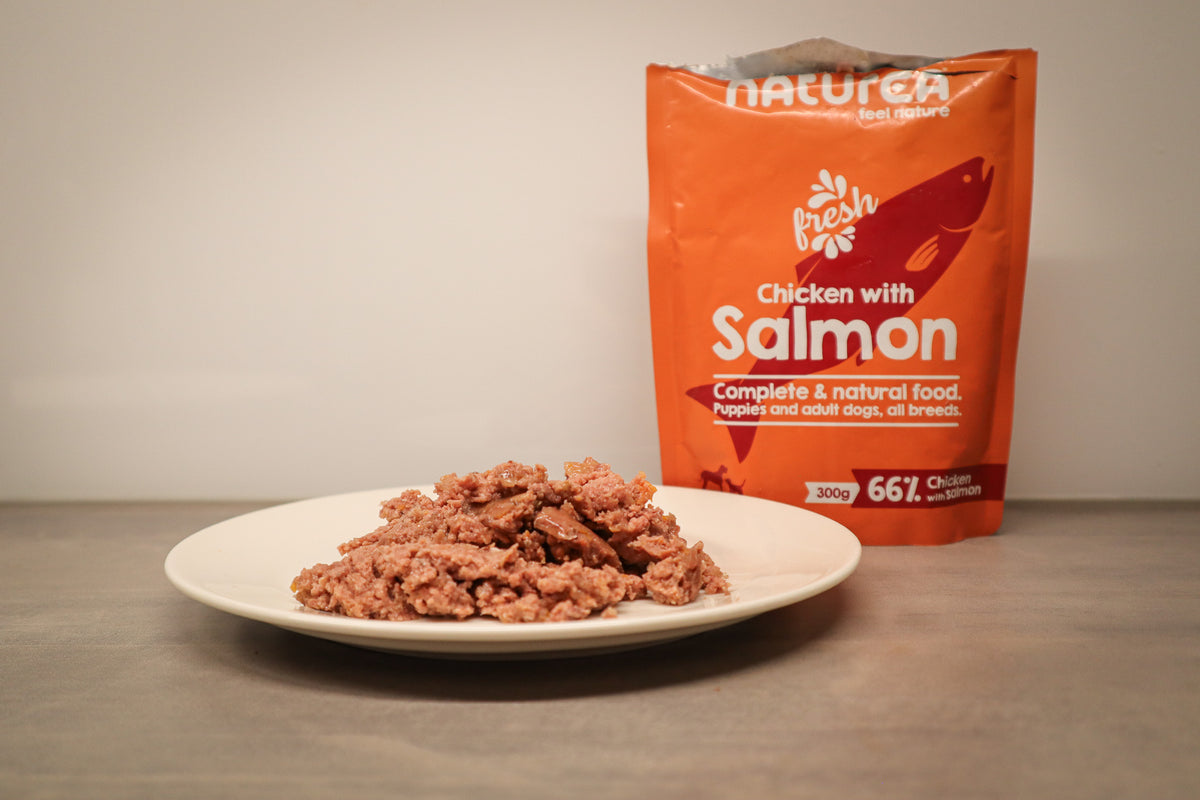 Naturea Salmon koiran märkäruoka lautasella