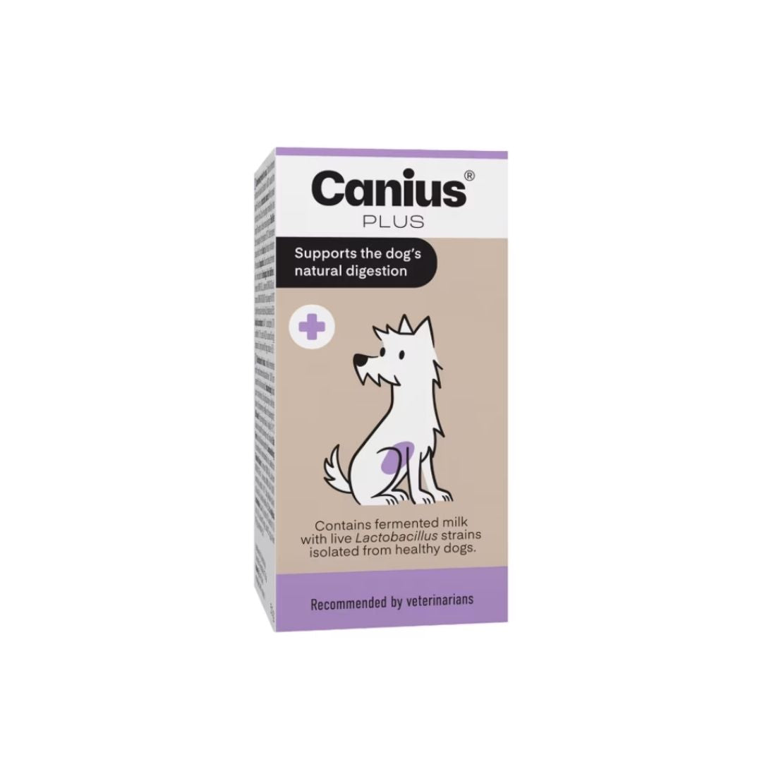 Canius plus