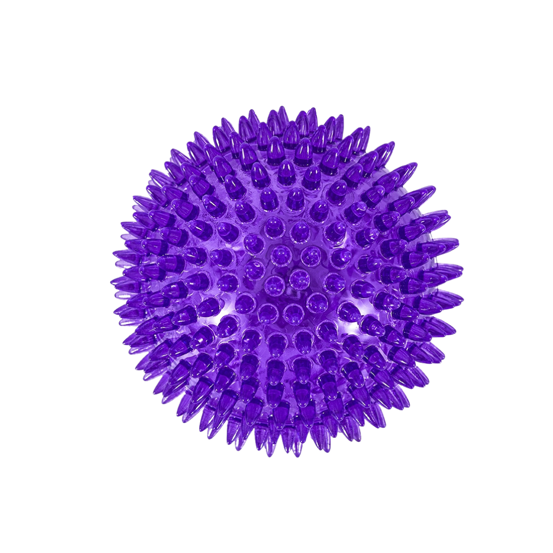 Freedog Noody pallo Violetti M