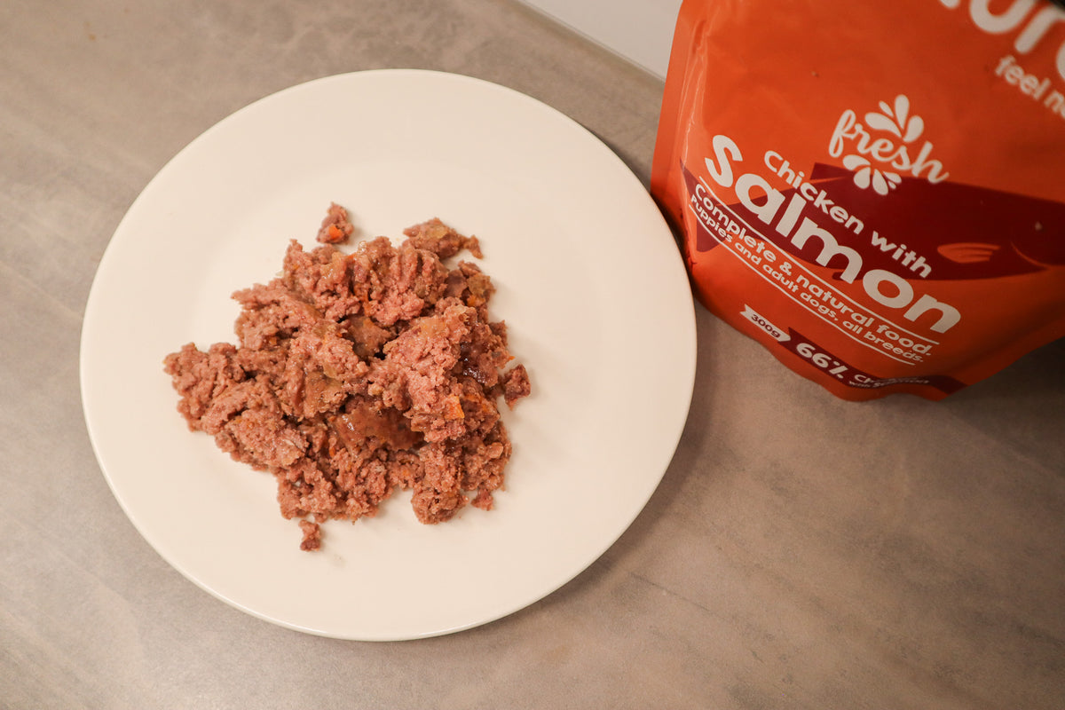 Naturea Salmon koiran märkäruoka lautasella ylhäältä