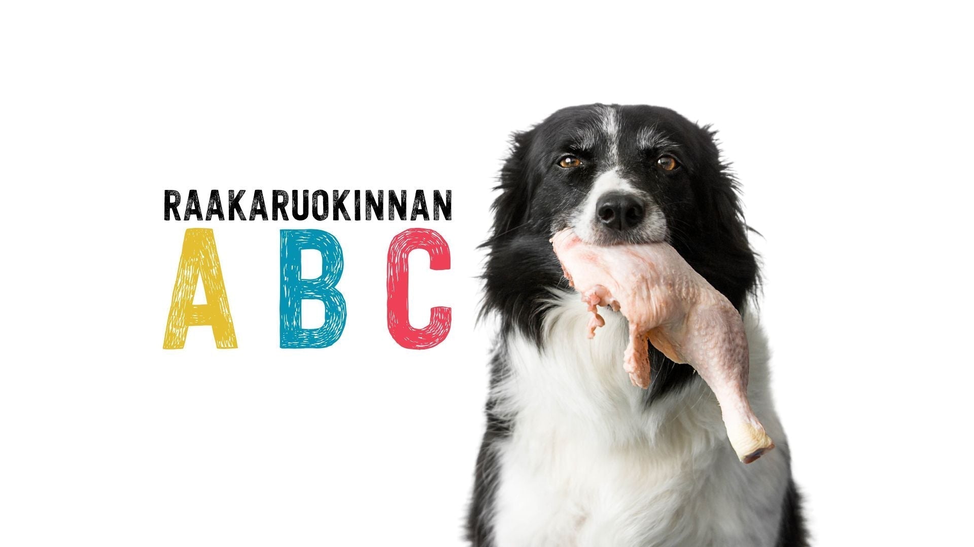 Raakaruokinnan ABC