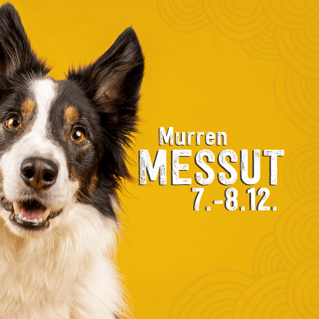 Koiramessut 7.-8.12.