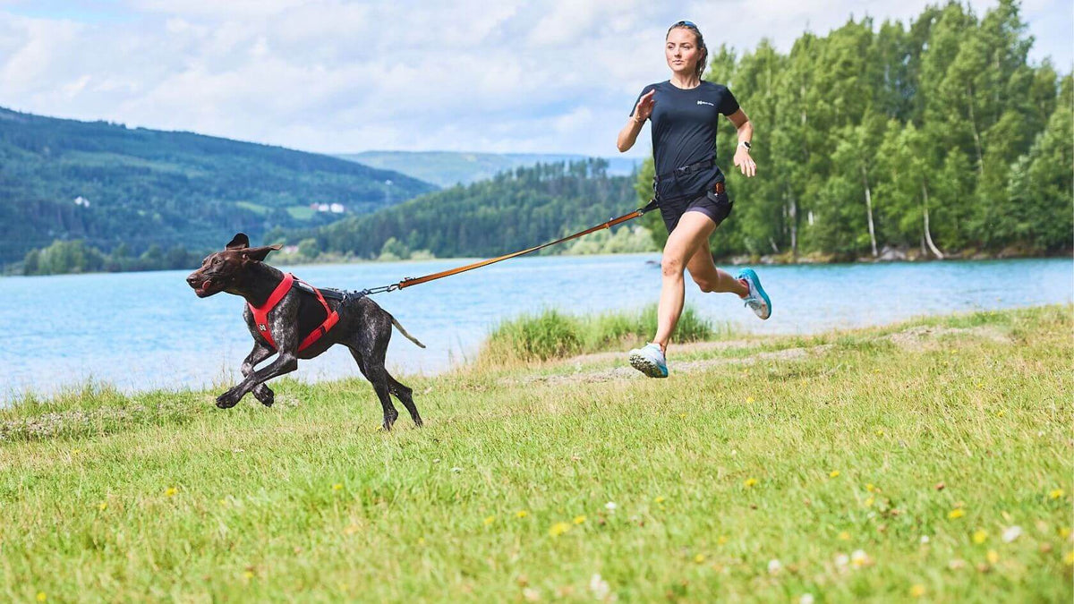 Non-stop dogwear