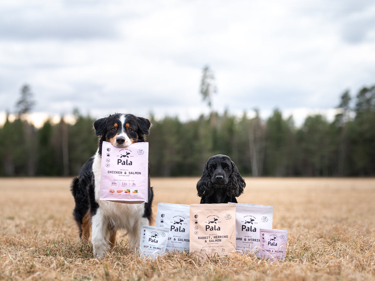Pala Petfoods