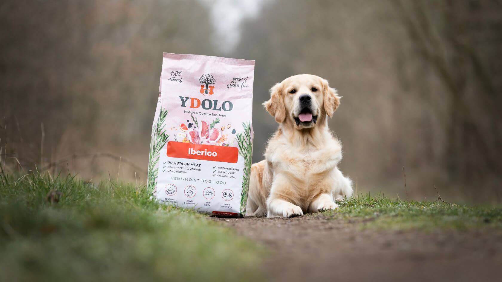 Ydolo