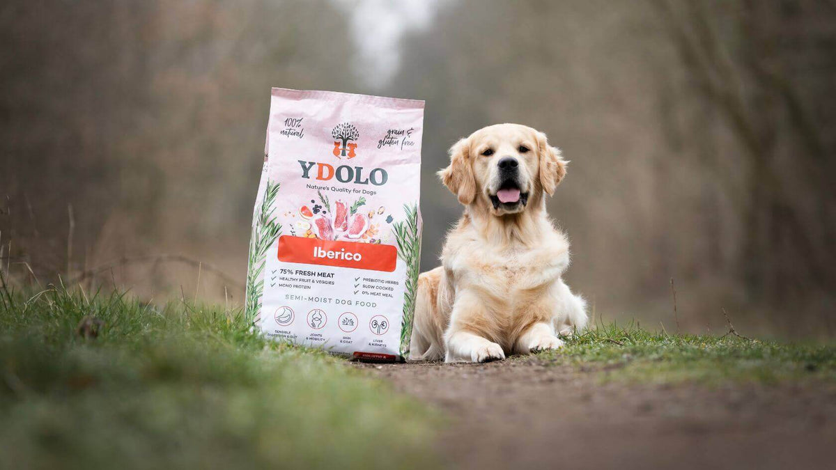 Ydolo