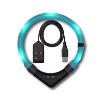 Leuchtie Easy Charge ladattava koiran valopanta, turkoosi