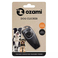 Ozami Naksutin pillillä