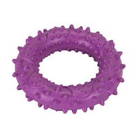 Freedog Rubber Snack vanne, violetti