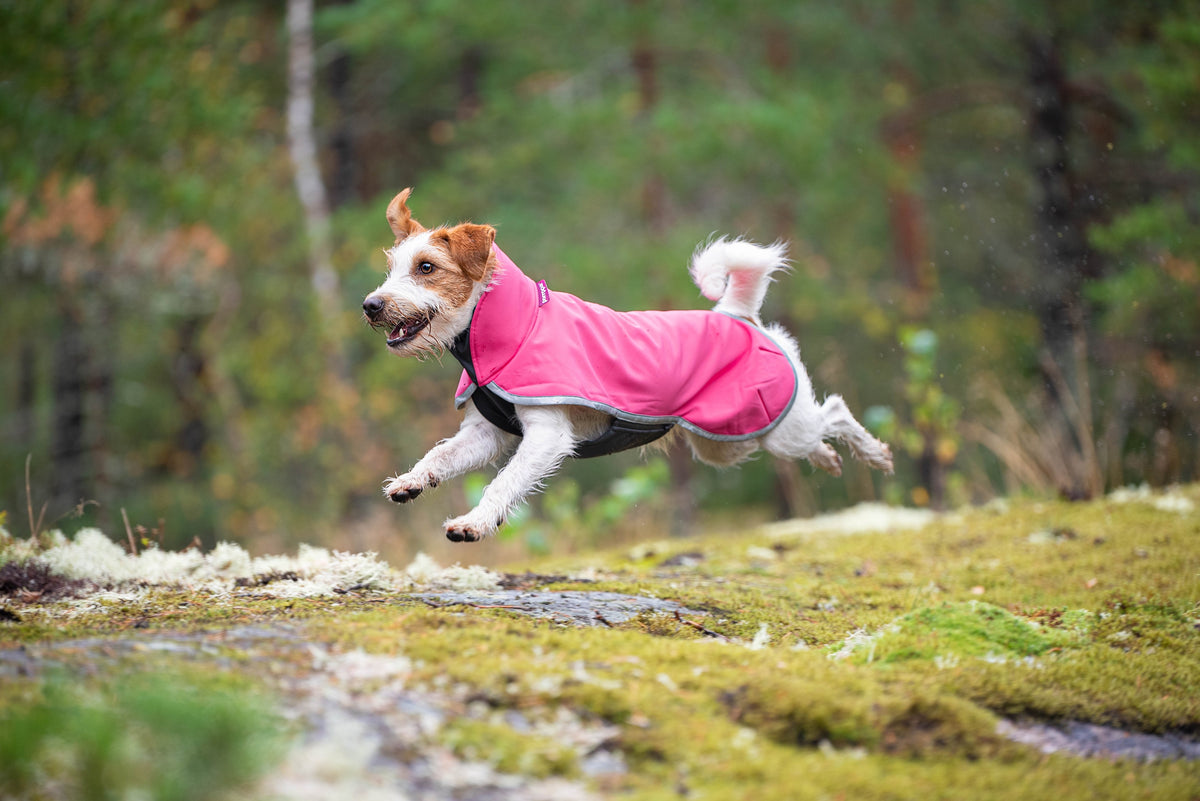 Pomppa SporttiPomppa Pinkki jackrussel