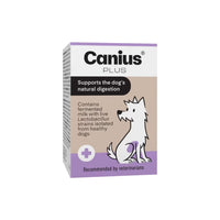 Canius Plus maitohappobakteerivalmiste koiralle UUSI
