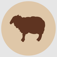 Fanimal Lampaan luut 2 kg