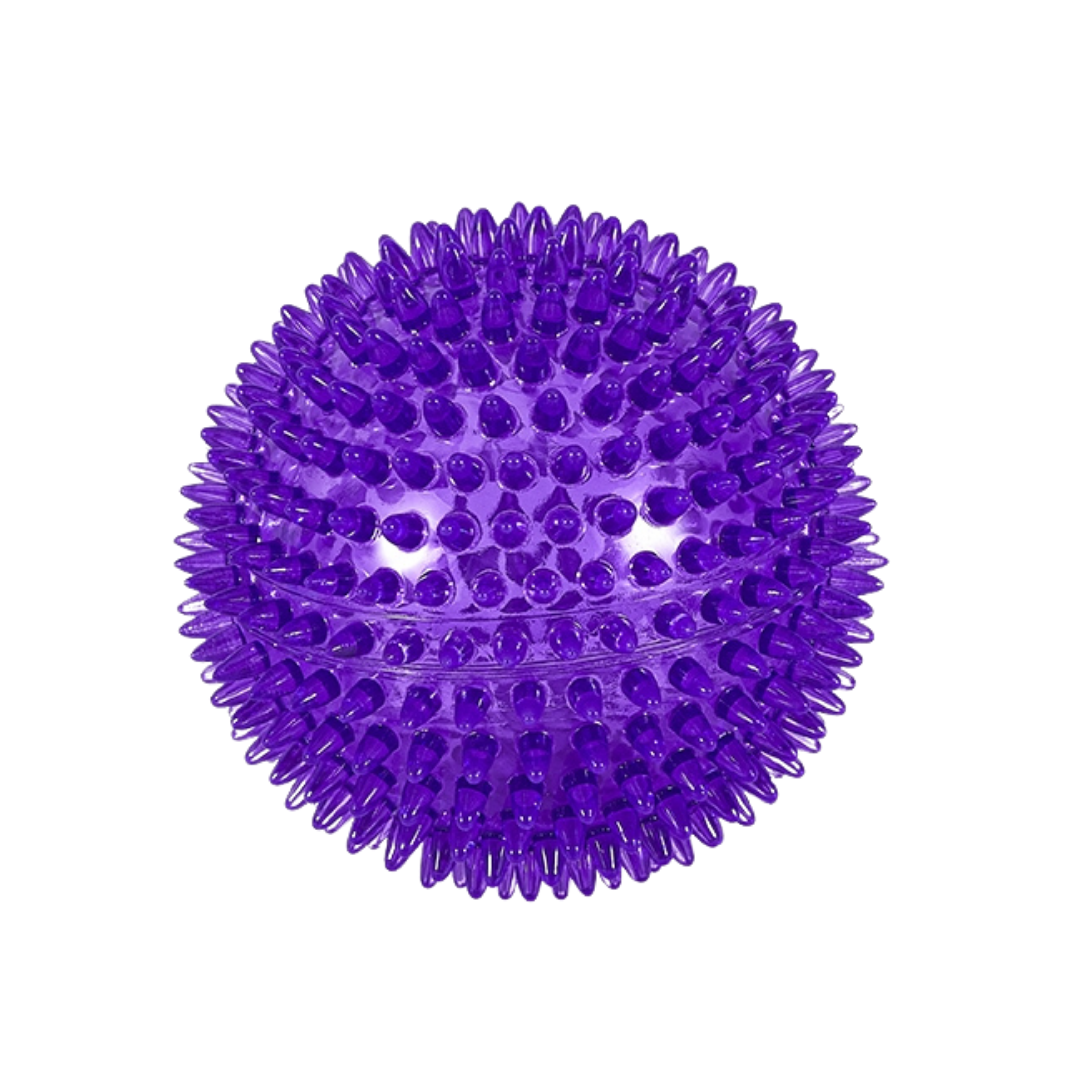 Freedog Noody pallo Violetti