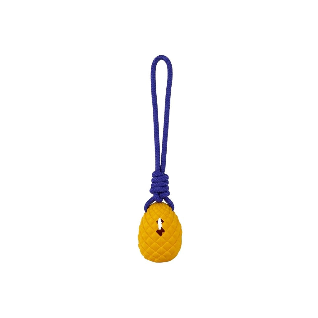 Freedog Zygo ananas vetolelu