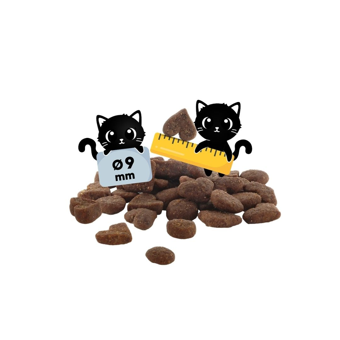 Lucky Lou Kitten siipikarja ja kana kuivaruoka
