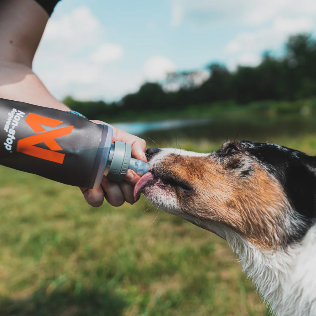 Non-Stop Dogwear softflask koira juomassa